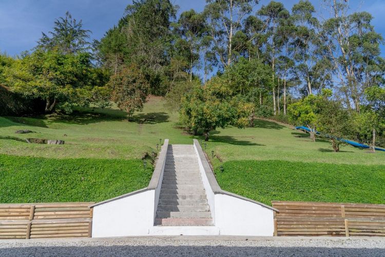 Finca en  Arriendo en Quirama, El carmen de viboral - Miniatura 12