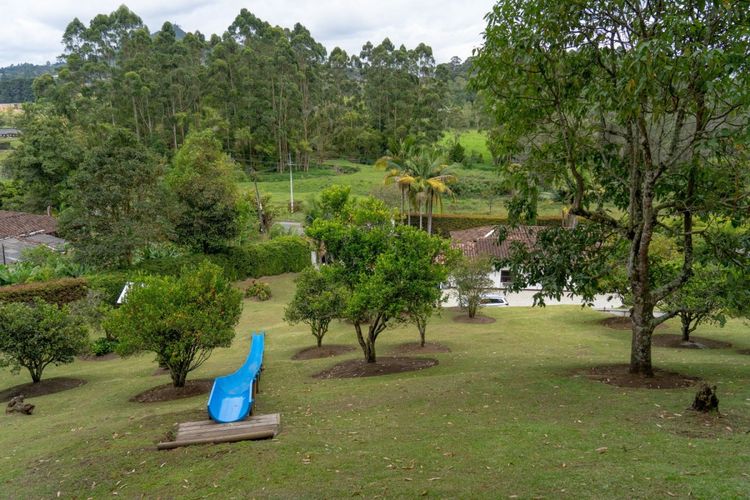 Finca en  Arriendo en Quirama, El carmen de viboral - Miniatura 13