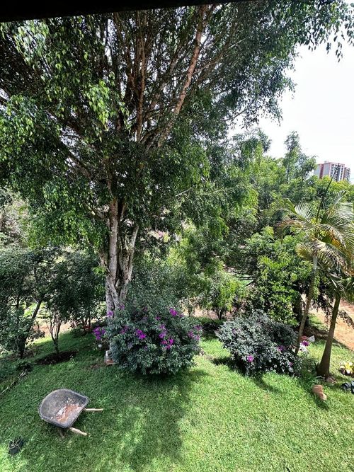 Finca en  Arriendo en Santa ana, Rionegro - Miniatura 29
