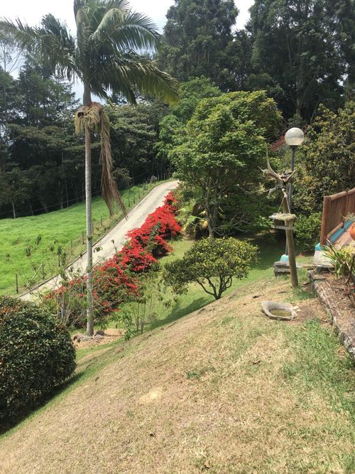 Finca en  Arriendo en El porvenir, Rionegro - Miniatura 2
