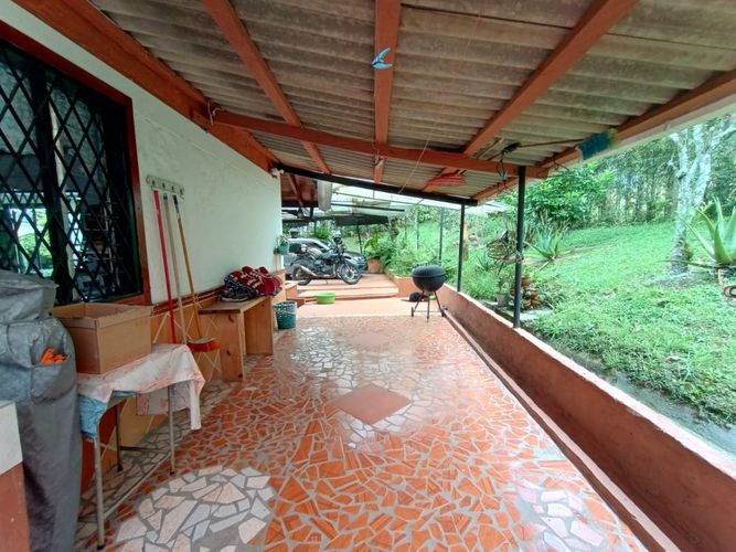 Finca en  Arriendo en Purco, Betulia - Miniatura 9