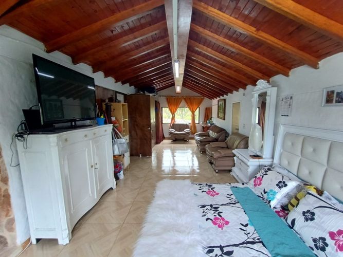 Finca en  Arriendo en Purco, Betulia - Miniatura 19