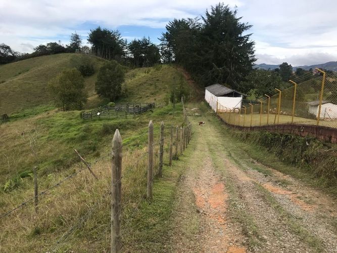 Finca en  Arriendo en Santa ana, Rionegro - Miniatura 26