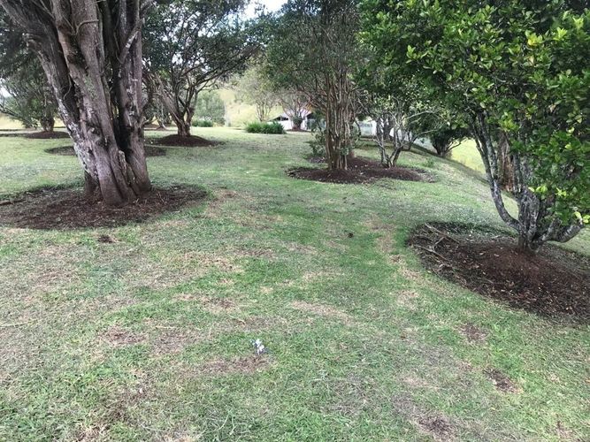 Finca en  Arriendo en Santa ana, Rionegro - Miniatura 27