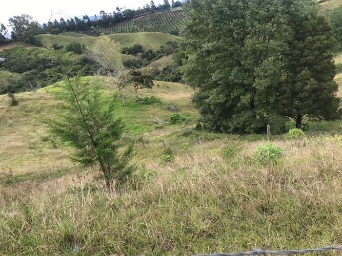 Finca en  Arriendo en Santa ana, Rionegro - Miniatura 28