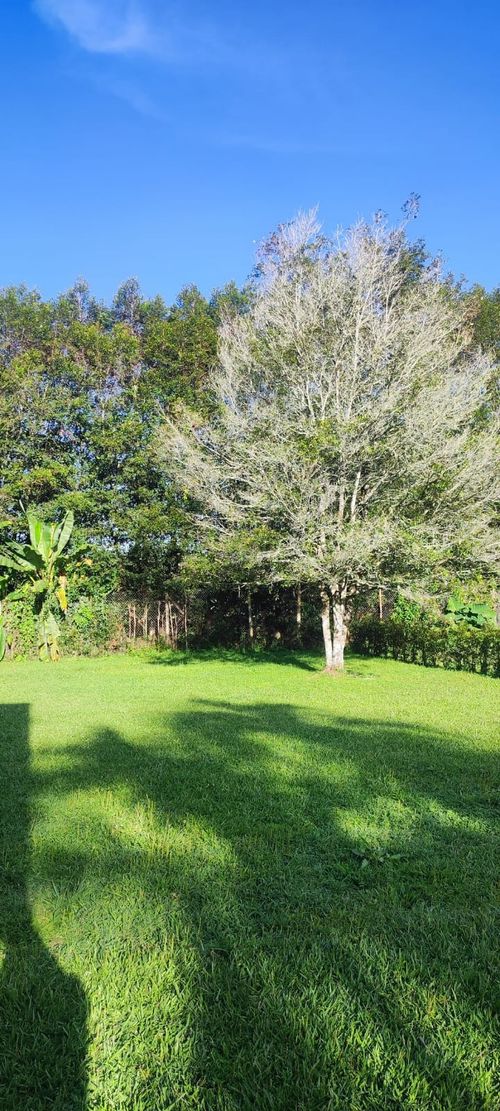 Finca en  Arriendo en Llano Grande, Rionegro - Miniatura 24