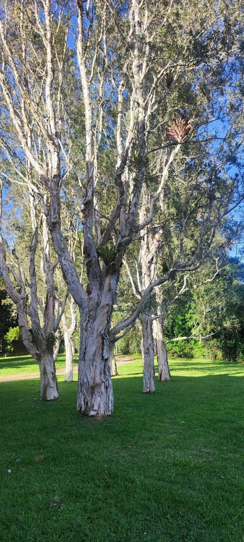 Finca en  Arriendo en Llano Grande, Rionegro - Miniatura 25