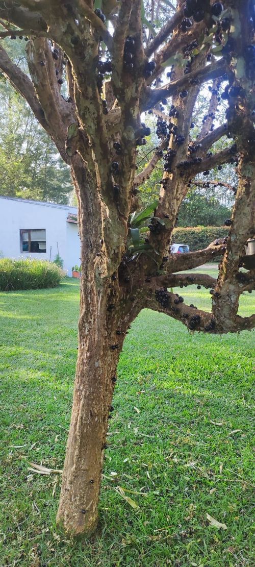 Finca en  Arriendo en Llano Grande, Rionegro - Miniatura 26