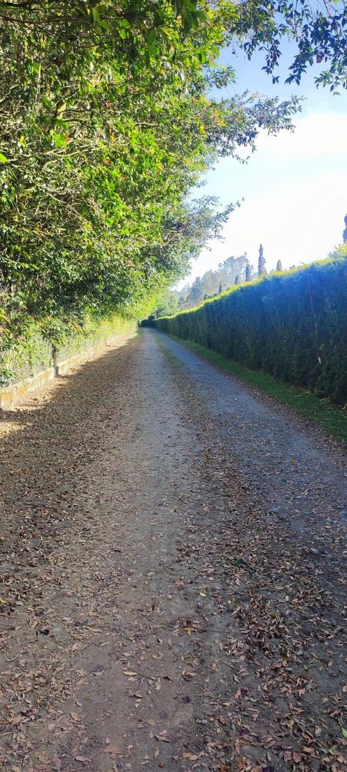 Finca en  Arriendo en Llano Grande, Rionegro - Miniatura 27