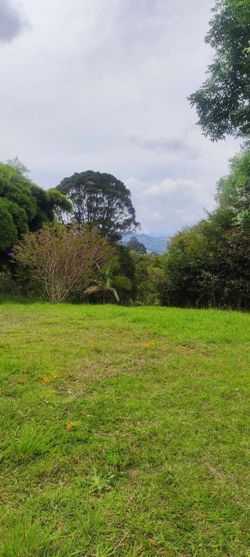 Finca en  Arriendo en Lomitas, La ceja - Miniatura 6
