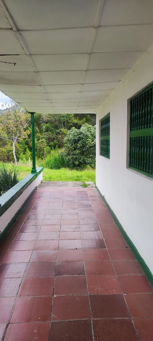 Finca en  Arriendo en Lomitas, La ceja - Miniatura 8