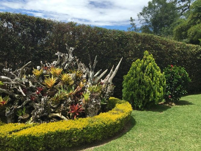 Finca en  Arriendo en El capiro, Rionegro - Imagen 1