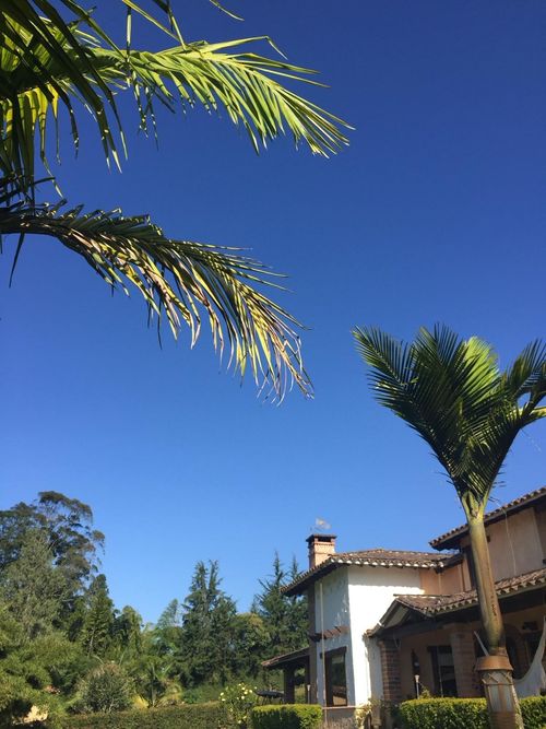 Finca en  Arriendo en El capiro, Rionegro - Miniatura 3