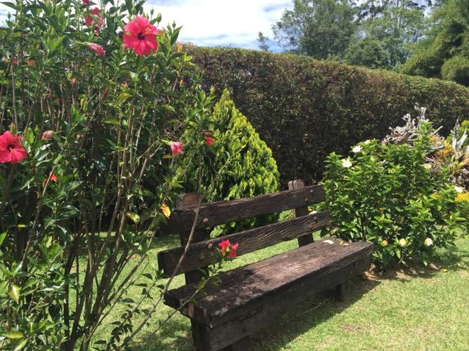 Finca en  Arriendo en El capiro, Rionegro - Miniatura 9