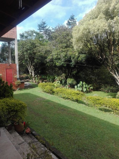 Finca en  Arriendo en El carmen de viboral - Miniatura 7