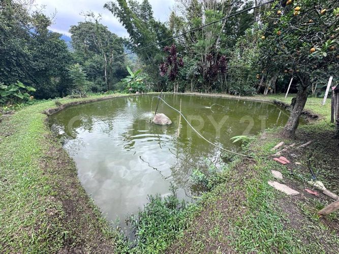 Finca en venta en Cundinamarca, San francisco - Miniatura 10
