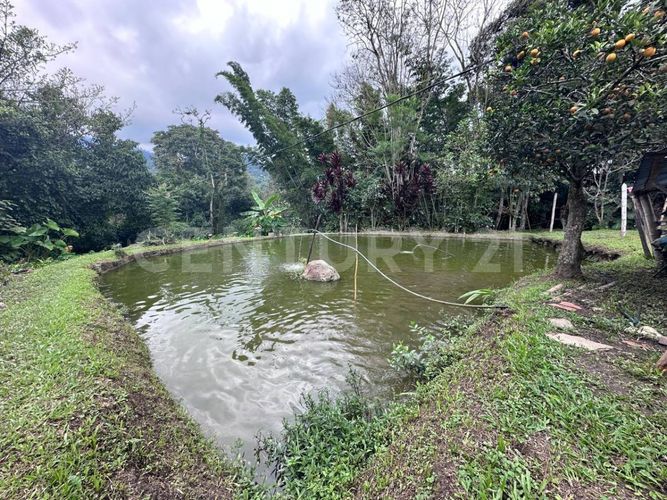 Finca en venta en Cundinamarca, San francisco - Miniatura 11