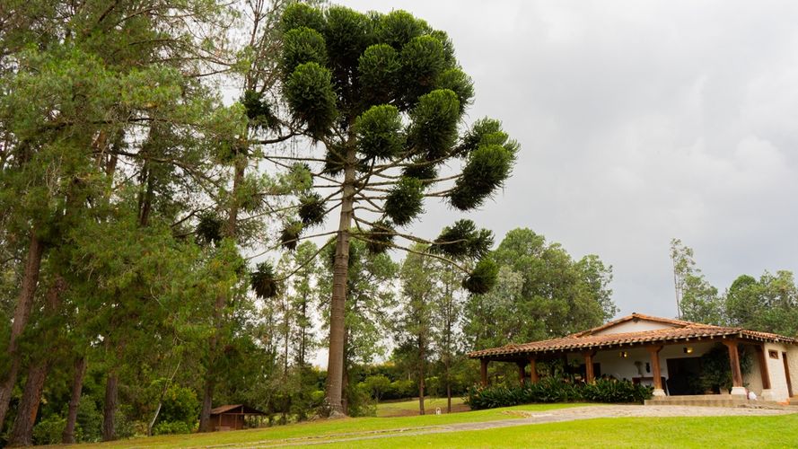 Finca en  Arriendo en La convencion, Rionegro - Imagen 1