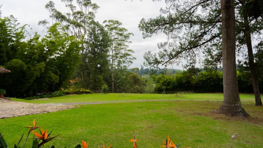 Finca en  Arriendo en La convencion, Rionegro - Miniatura 25