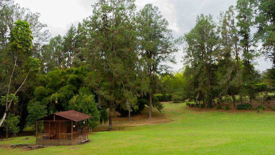 Finca en  Arriendo en La convencion, Rionegro - Miniatura 26