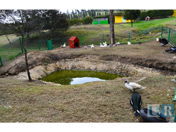Finca en  Venta - Miniatura 18