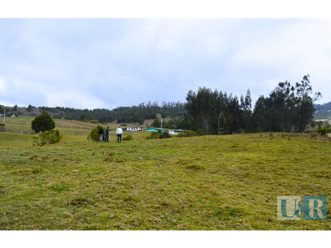 Finca en  Venta - Miniatura 23