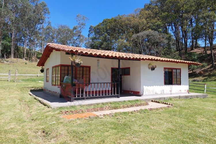 Finca en  Venta en San francisco - Miniatura 2