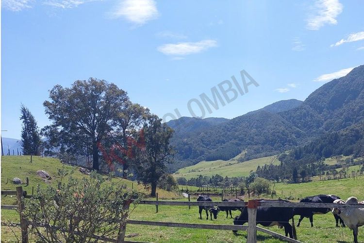 Finca en  Venta en San francisco - Miniatura 4