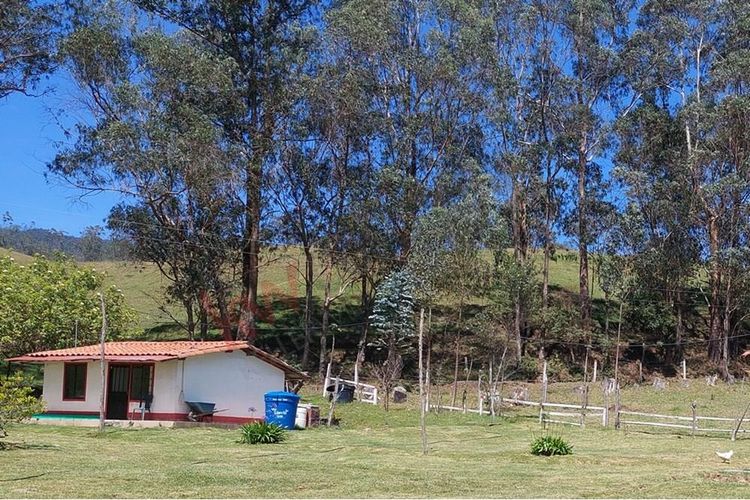 Finca en  Venta en San francisco - Miniatura 8