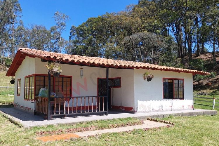 Finca en  Venta en San francisco - Miniatura 11