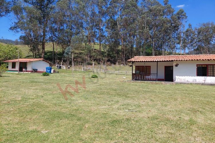 Finca en  Venta en San francisco - Miniatura 15