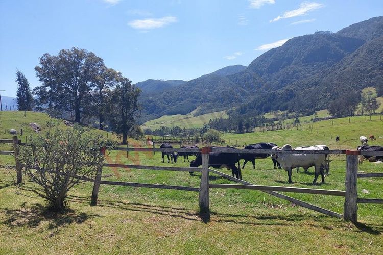 Finca en  Venta en San francisco - Miniatura 17