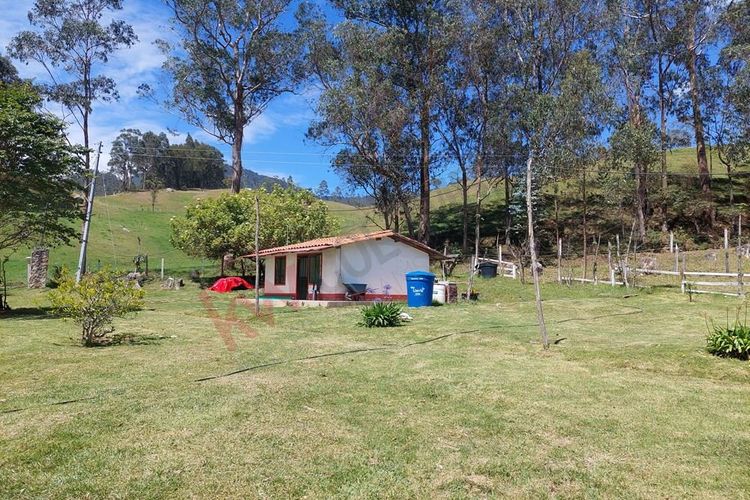 Finca en  Venta en San francisco - Miniatura 19
