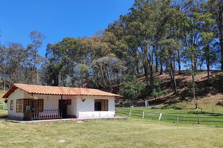 Finca en  Venta en San francisco - Miniatura 22