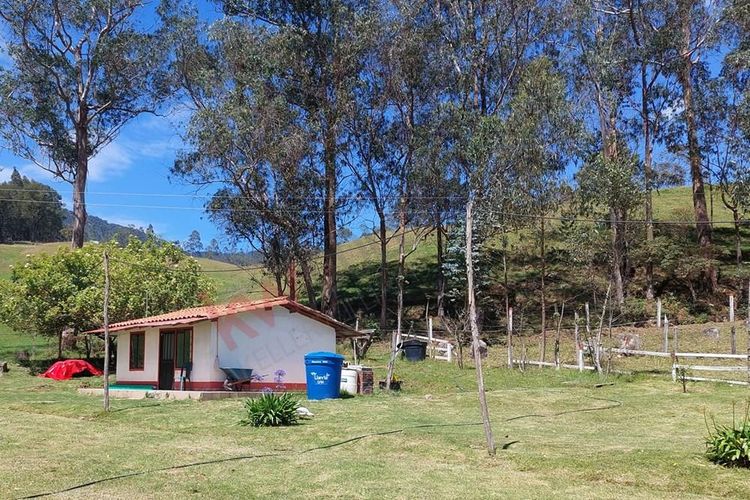 Finca en  Venta en San francisco - Miniatura 24