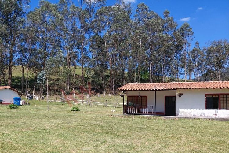 Finca en  Venta en San francisco - Miniatura 25