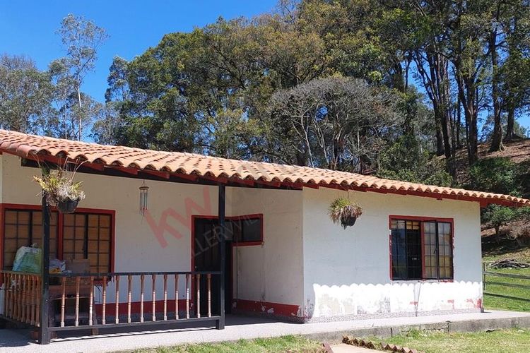 Finca en  Venta en San francisco - Miniatura 28