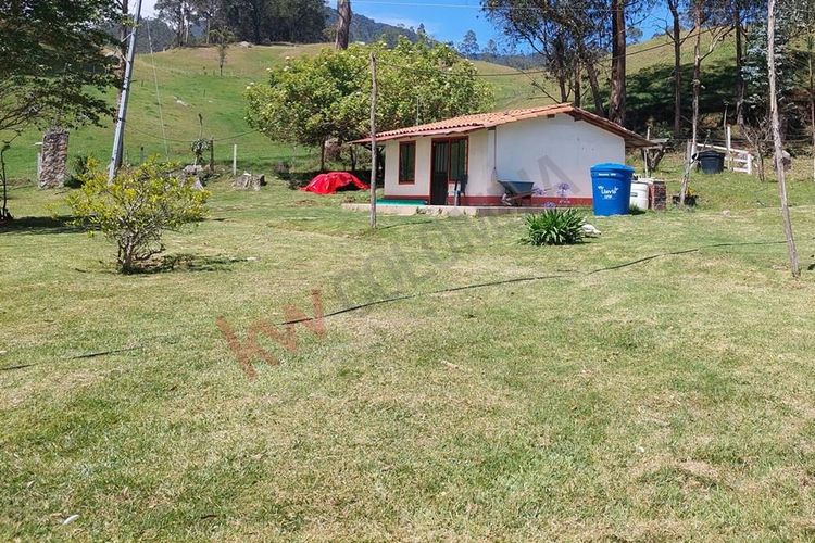 Finca en  Venta en San francisco - Miniatura 29