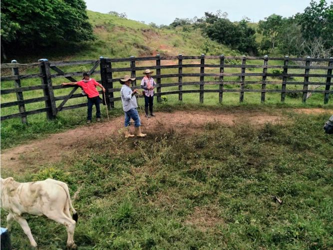 Finca en  Venta en Necocli - Imagen 1