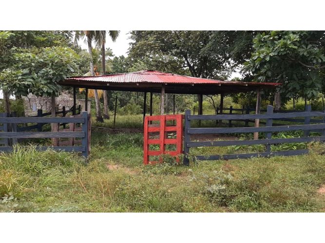 Finca en  Venta en Necocli - Miniatura 8