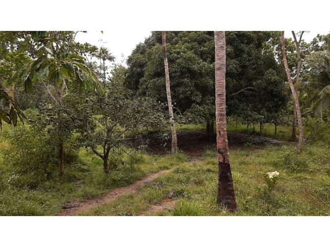 Finca en  Venta en Necocli - Miniatura 9