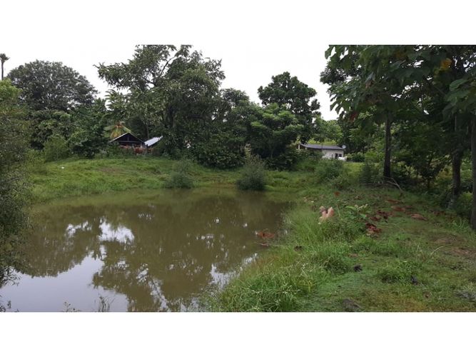 Finca en  Venta en Necocli - Miniatura 10