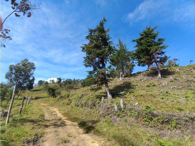 Finca en  Venta en La honda, Guarne - Miniatura 6