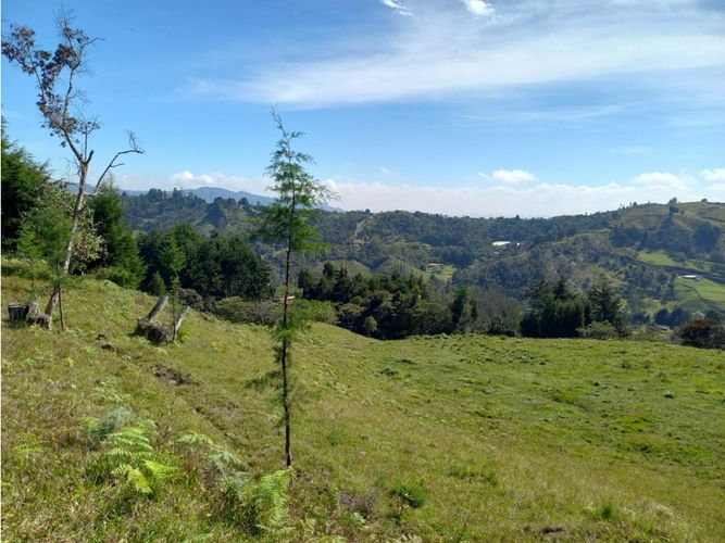 Finca en  Venta en La honda, Guarne - Miniatura 9