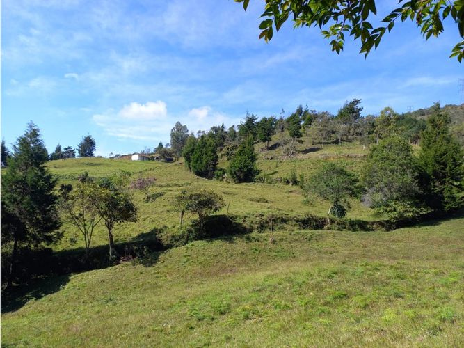 Finca en  Venta en La honda, Guarne - Miniatura 10