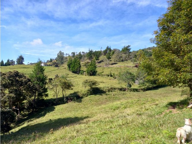 Finca en  Venta en La honda, Guarne - Miniatura 11