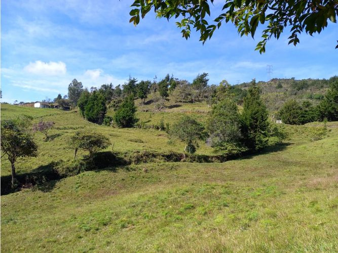 Finca en  Venta en La honda, Guarne - Miniatura 13