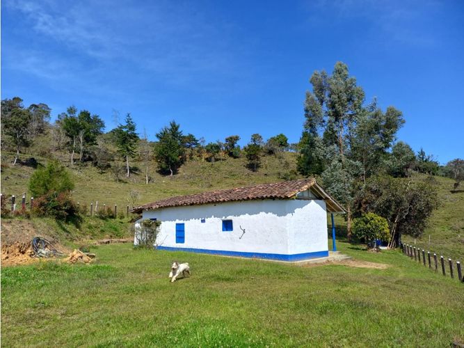 Finca en  Venta en La honda, Guarne - Miniatura 14