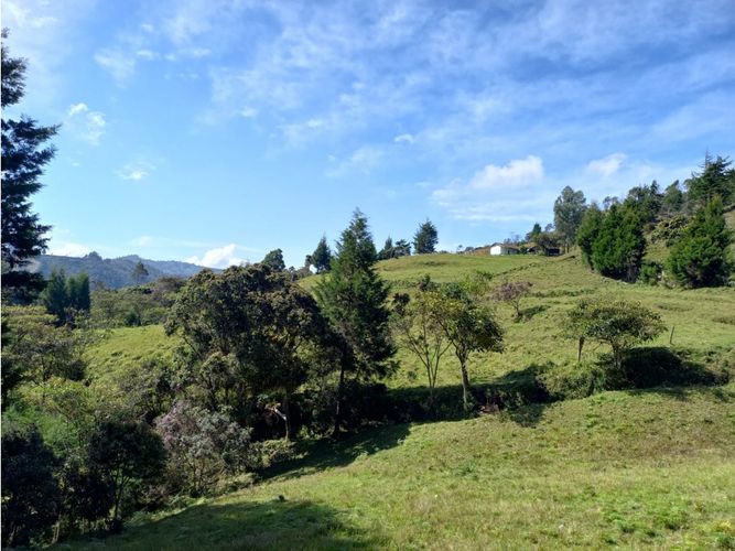 Finca en  Venta en La honda, Guarne - Miniatura 15