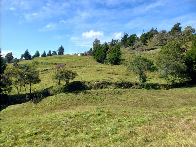 Finca en  Venta en La honda, Guarne - Miniatura 18